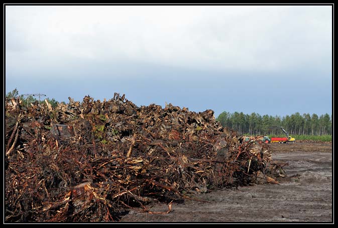 Tempête Klaus-2009 (8)